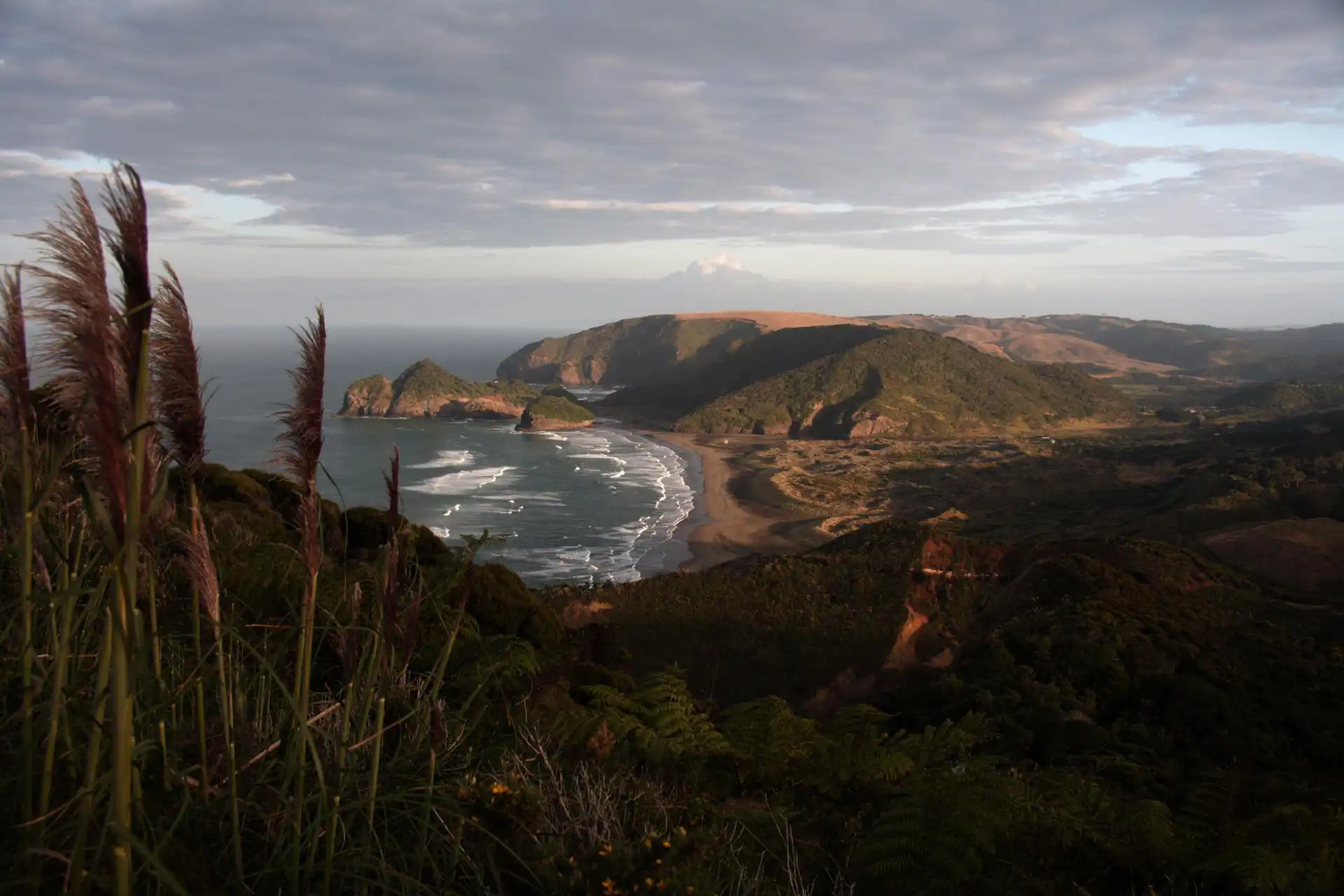 Discover Bethells Beach, West Coast, Auckland